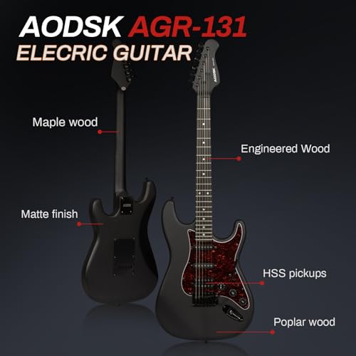 AODSK Electric Guitar